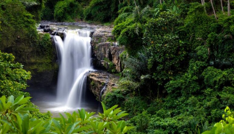 Tegenungan Waterfall: A Must-Visit Destination in Bali